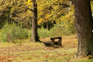 Finding Balance Within